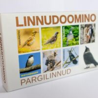 Linnudoominod – pargilinnud - Image 2