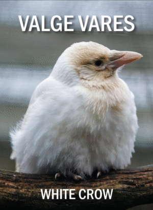 Valge vares