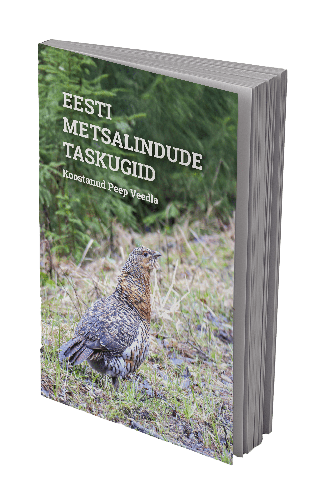 Eesti metsaslindude taskugiid